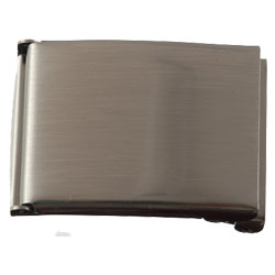 Clamshell Brushed Silver Web Buckle 40 mm